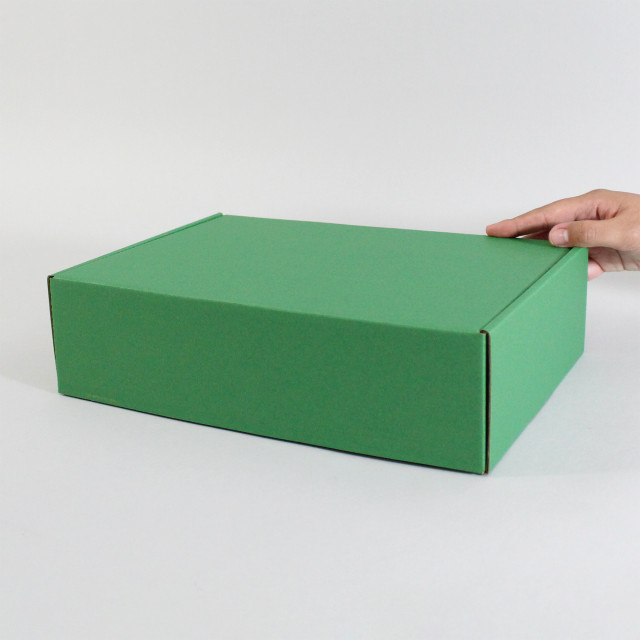 Caja autoarmable 30x20x8 verde
