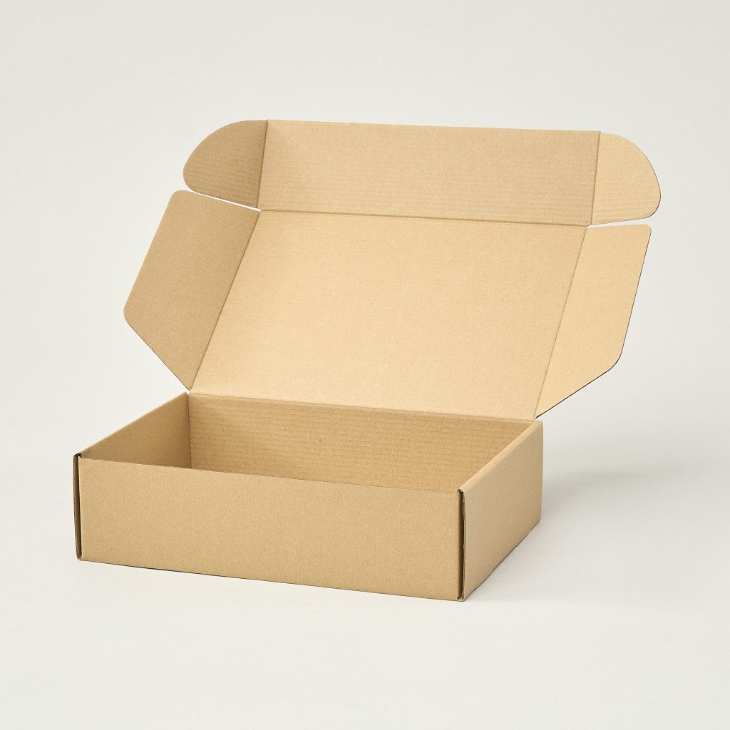 Caja de Cartón Negra Autoarmable 【30 x 20 x 8 cm】