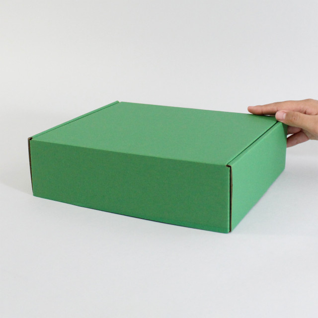 Caja autoarmable 25x20x7 verde Alternativa