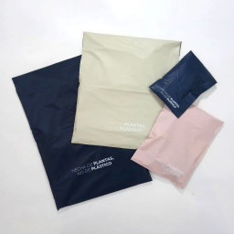 1 1 Imagen Alternativa