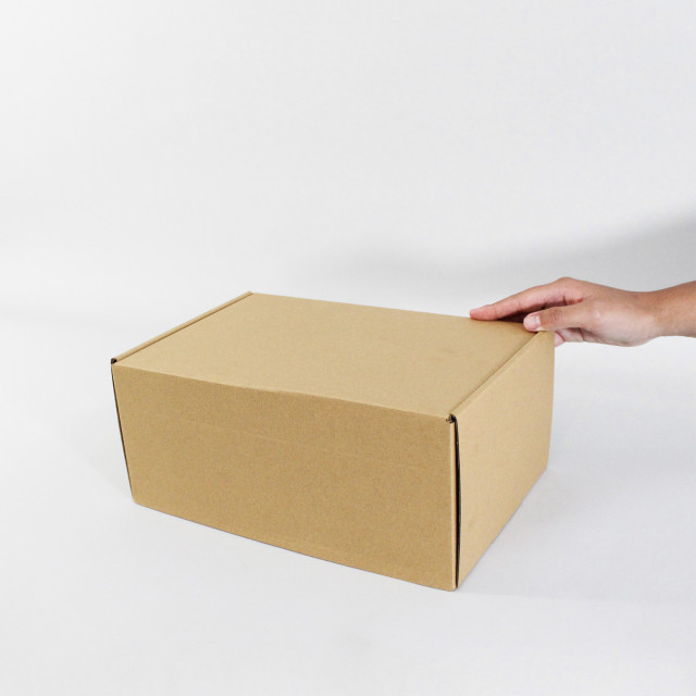 Caja autoarmable 30x20x13 kraft