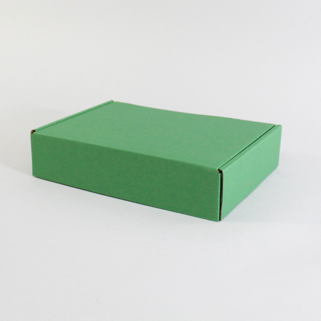Caja autoarmable 19x10x4 verde