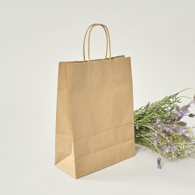 Caja 500 uds Bolsa de papel kraft 30x22x10 (cm)