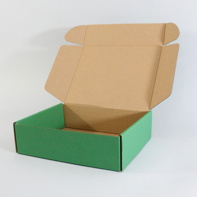 Caja autoarmable 25x20x7 verde Alternativa
